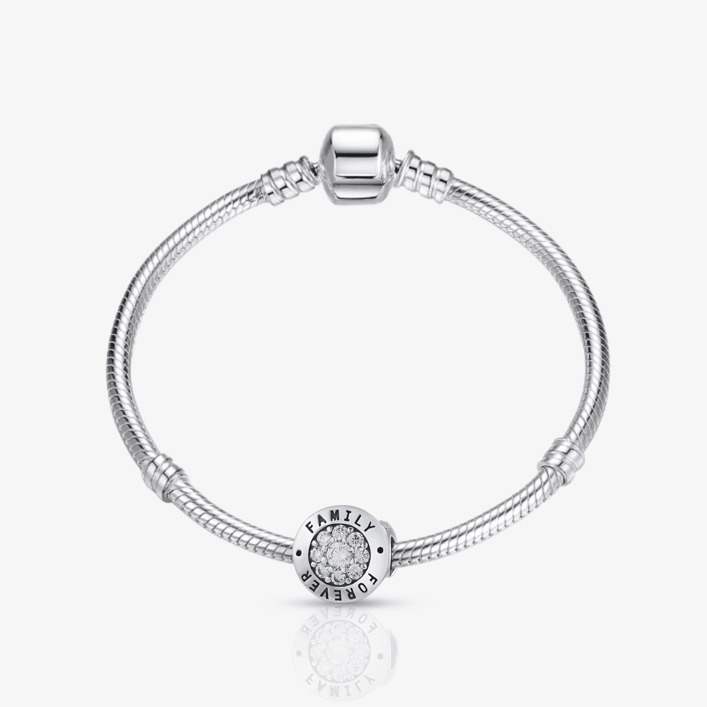 Family Forever Circle Charm