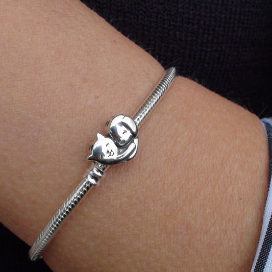 Cat & Dog Hugging Charm