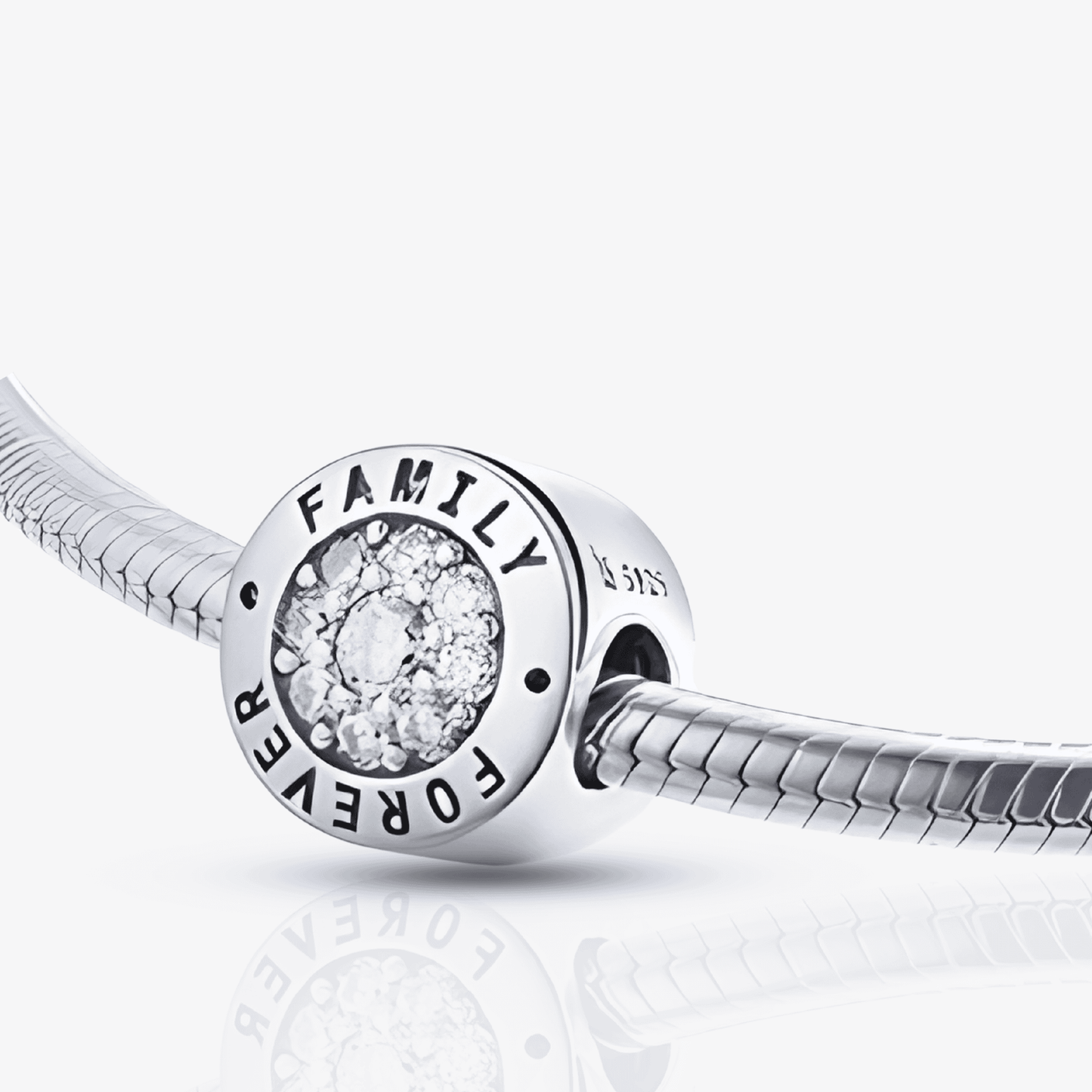 Family Forever Circle Charm