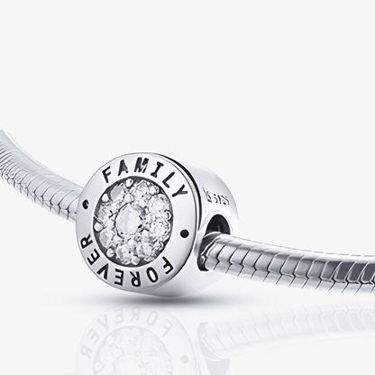 Family Forever Circle Charm