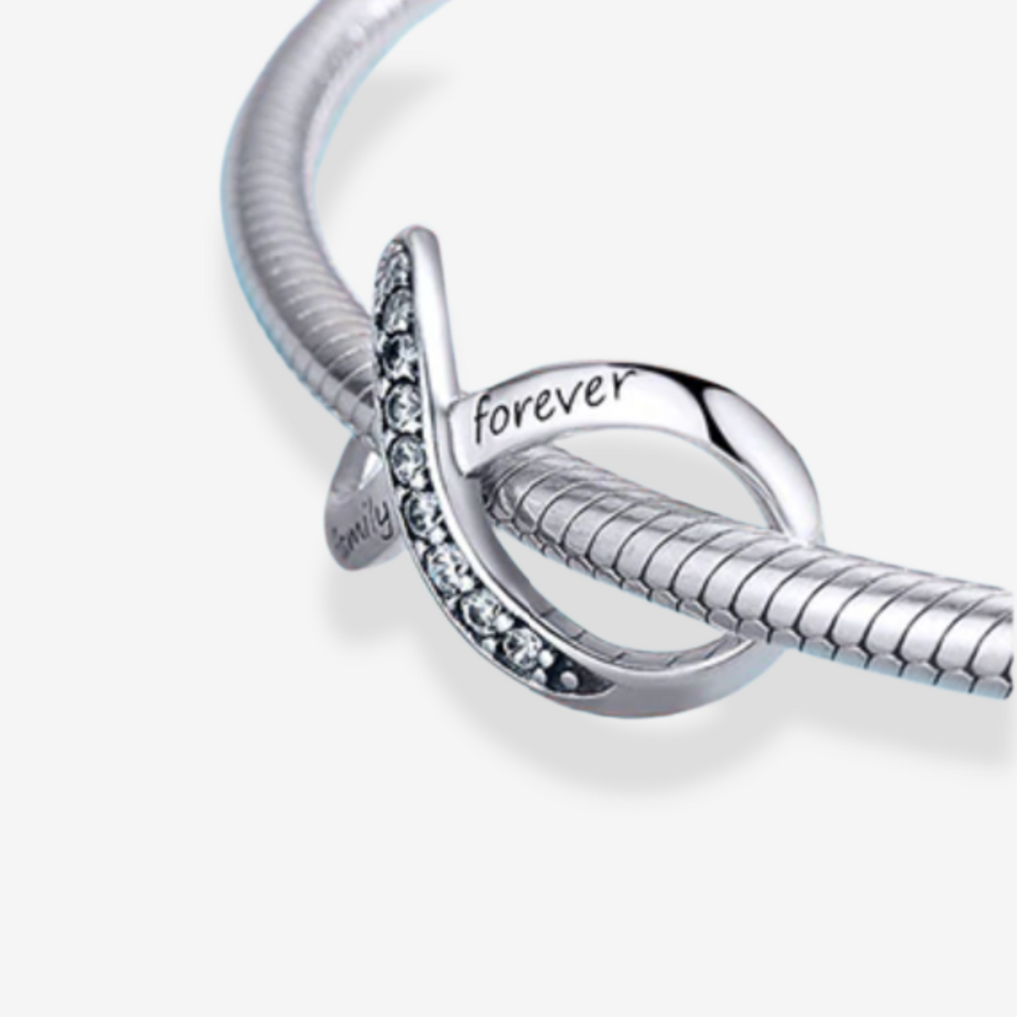 Family Forever Infinity Charm.
